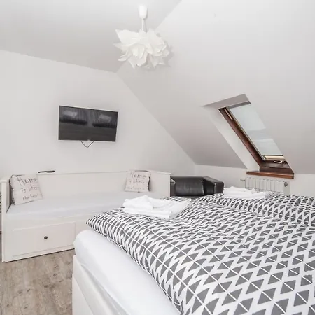 纳巴斯特酒店 捷克贾布朗尼城