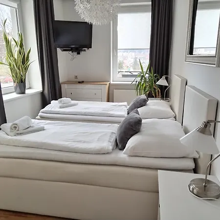 纳巴斯特酒店 3* 捷克贾布朗尼城