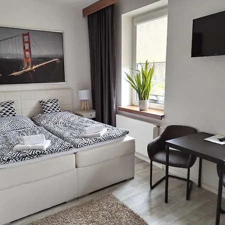 酒店 纳巴斯特酒店 捷克贾布朗尼城