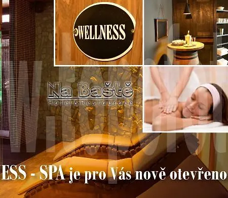 纳巴斯特酒店 酒店 捷克贾布朗尼城