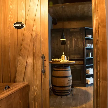 酒店 纳巴斯特酒店 捷克贾布朗尼城